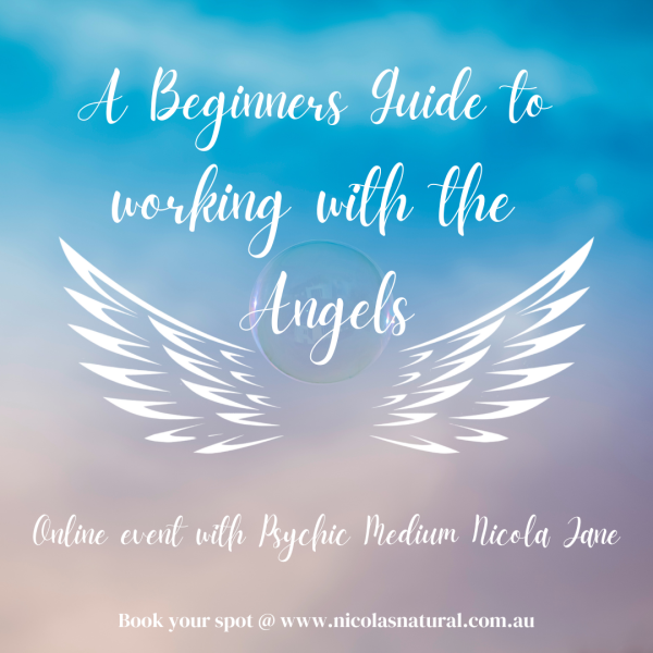 Beginners guide to working with the Angels Online Workshop 